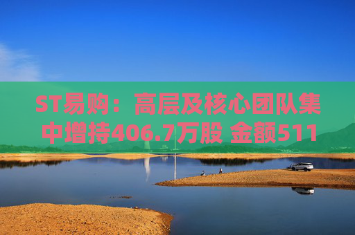 ST易购：高层及核心团队集中增持406.7万股 金额511.95万元