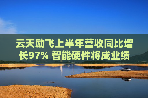 云天励飞上半年营收同比增长97% 智能硬件将成业绩新增长点