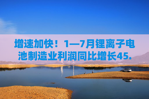 增速加快！1—7月锂离子电池制造业利润同比增长45.6%