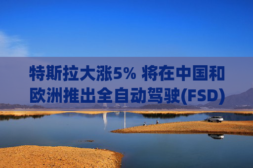 特斯拉大涨5% 将在中国和欧洲推出全自动驾驶(FSD)系统