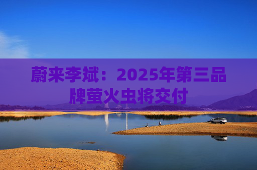 蔚来李斌：2025年第三品牌萤火虫将交付