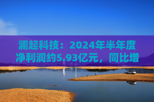 澜起科技：2024年半年度净利润约5.93亿元，同比增加624.63%