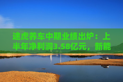 途虎养车中期业绩出炉：上半年净利润3.58亿元，新能源车用户渗透率为8.4%