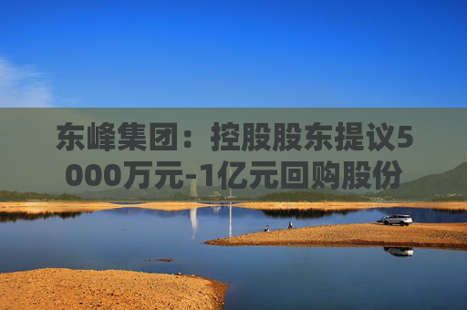 东峰集团：控股股东提议5000万元-1亿元回购股份