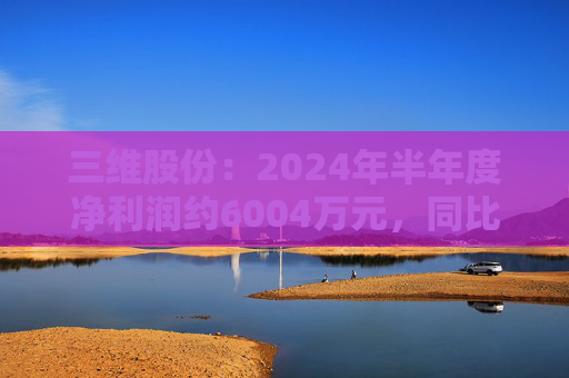 三维股份：2024年半年度净利润约6004万元，同比下降48.08%