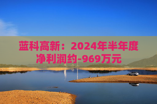 蓝科高新：2024年半年度净利润约-969万元