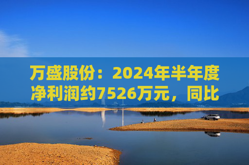 万盛股份：2024年半年度净利润约7526万元，同比下降34.94%