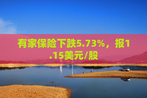 有家保险下跌5.73%，报1.15美元/股