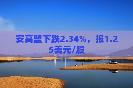 安高盟下跌2.34%，报1.25美元/股