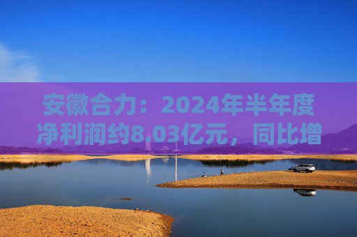 安徽合力：2024年半年度净利润约8.03亿元，同比增加22%