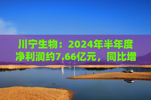 川宁生物：2024年半年度净利润约7.66亿元，同比增加96.05%