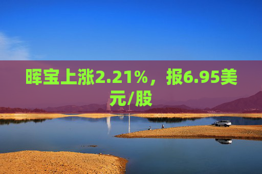 晖宝上涨2.21%，报6.95美元/股