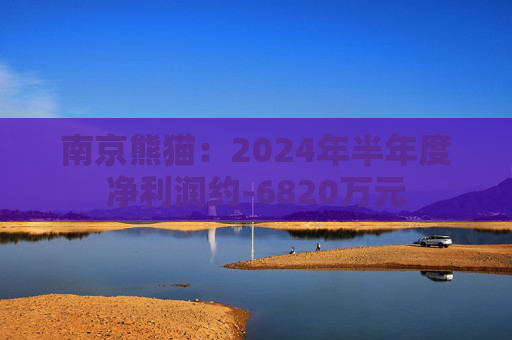 南京熊猫：2024年半年度净利润约-6820万元