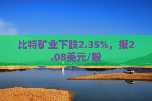 比特矿业下跌2.35%，报2.08美元/股