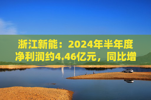 浙江新能：2024年半年度净利润约4.46亿元，同比增加49.92%