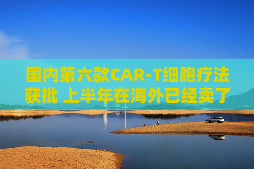 国内第六款CAR-T细胞疗法获批 上半年在海外已经卖了超3亿美元