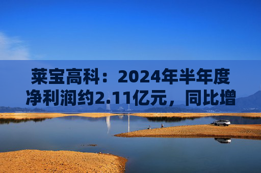 莱宝高科：2024年半年度净利润约2.11亿元，同比增加6.82%