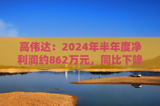 高伟达：2024年半年度净利润约862万元，同比下降41.41%