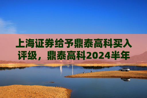 上海证券给予鼎泰高科买入评级，鼎泰高科2024半年报点评：Q2经营显著改善，新兴业务势能强劲