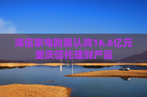 海信家电附属认购16.6亿元重庆信托理财产品