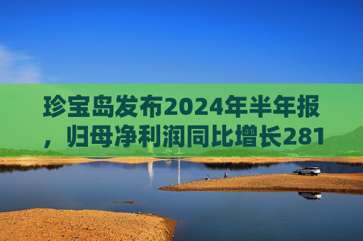 珍宝岛发布2024年半年报，归母净利润同比增长281.93%