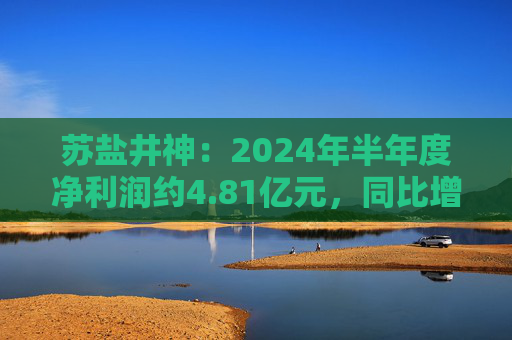 苏盐井神：2024年半年度净利润约4.81亿元，同比增加18.92%