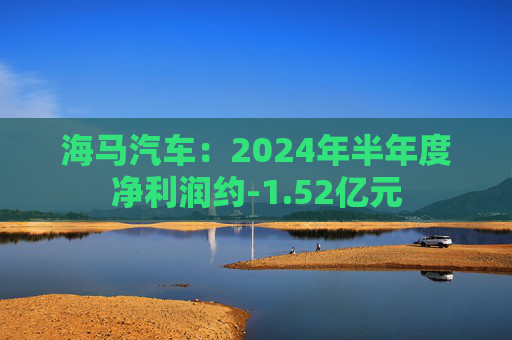 海马汽车：2024年半年度净利润约-1.52亿元