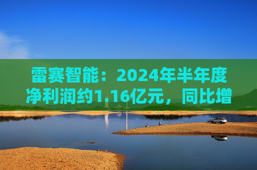 雷赛智能：2024年半年度净利润约1.16亿元，同比增加54.29%