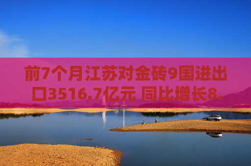 前7个月江苏对金砖9国进出口3516.7亿元 同比增长8.1%