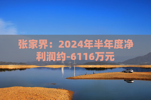 张家界：2024年半年度净利润约-6116万元