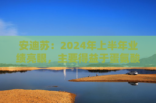 安迪苏：2024年上半年业绩亮眼，主要得益于蛋氨酸业务的强劲增长等