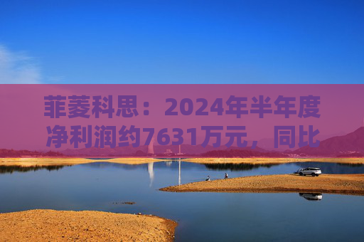 菲菱科思：2024年半年度净利润约7631万元，同比下降15.69%