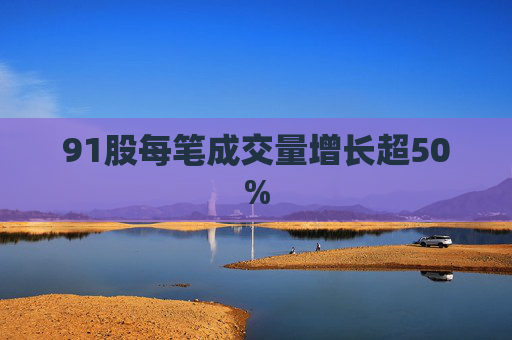 91股每笔成交量增长超50%