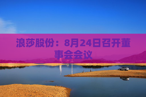 浪莎股份：8月24日召开董事会会议