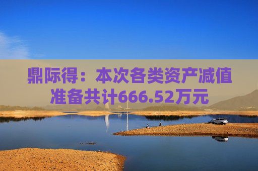 鼎际得：本次各类资产减值准备共计666.52万元