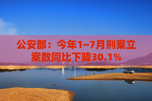 公安部：今年1~7月刑案立案数同比下降30.1%