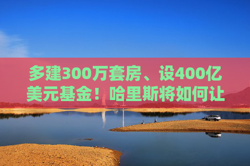 多建300万套房、设400亿美元基金！哈里斯将如何让美国人“有房住”？