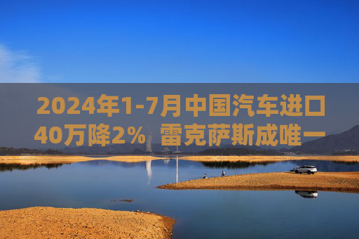 2024年1-7月中国汽车进口40万降2%  雷克萨斯成唯一销量正增长豪华品牌