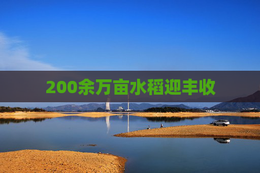 200余万亩水稻迎丰收