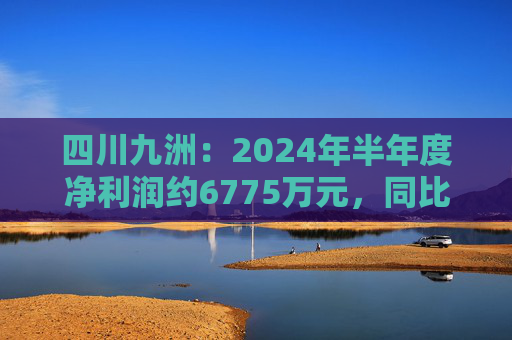 四川九洲：2024年半年度净利润约6775万元，同比下降20.76%