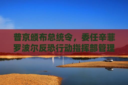 普京颁布总统令，委任辛菲罗波尔反恐行动指挥部管理亚速海水域反恐行动