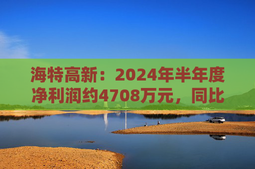 海特高新：2024年半年度净利润约4708万元，同比增加64.73%