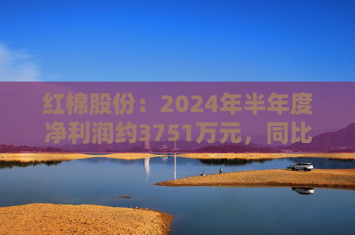 红棉股份：2024年半年度净利润约3751万元，同比增加170.31%