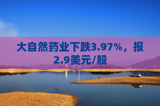 大自然药业下跌3.97%，报2.9美元/股