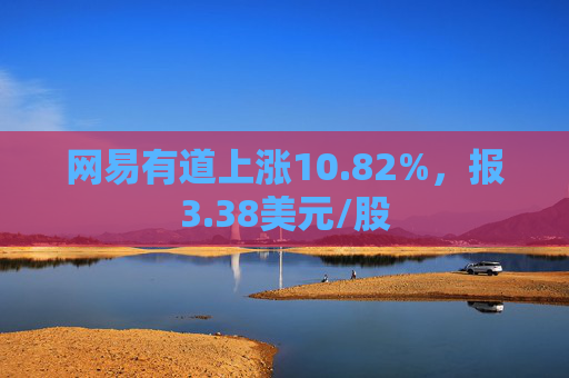 网易有道上涨10.82%，报3.38美元/股