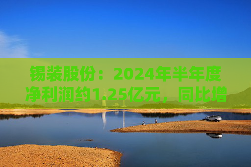 锡装股份：2024年半年度净利润约1.25亿元，同比增加23.33%