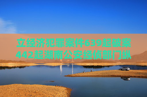 立经济犯罪案件639起破案442起湖南公安经侦部门纵深推进夏季治安打击整治行动