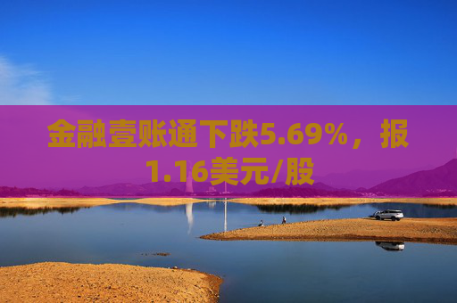 金融壹账通下跌5.69%，报1.16美元/股