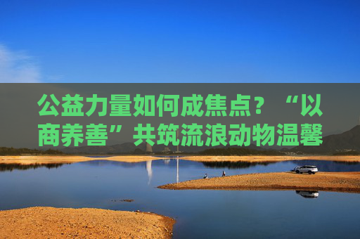 公益力量如何成焦点？“以商养善”共筑流浪动物温馨家园