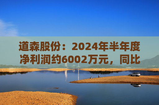 道森股份：2024年半年度净利润约6002万元，同比增加21.31%